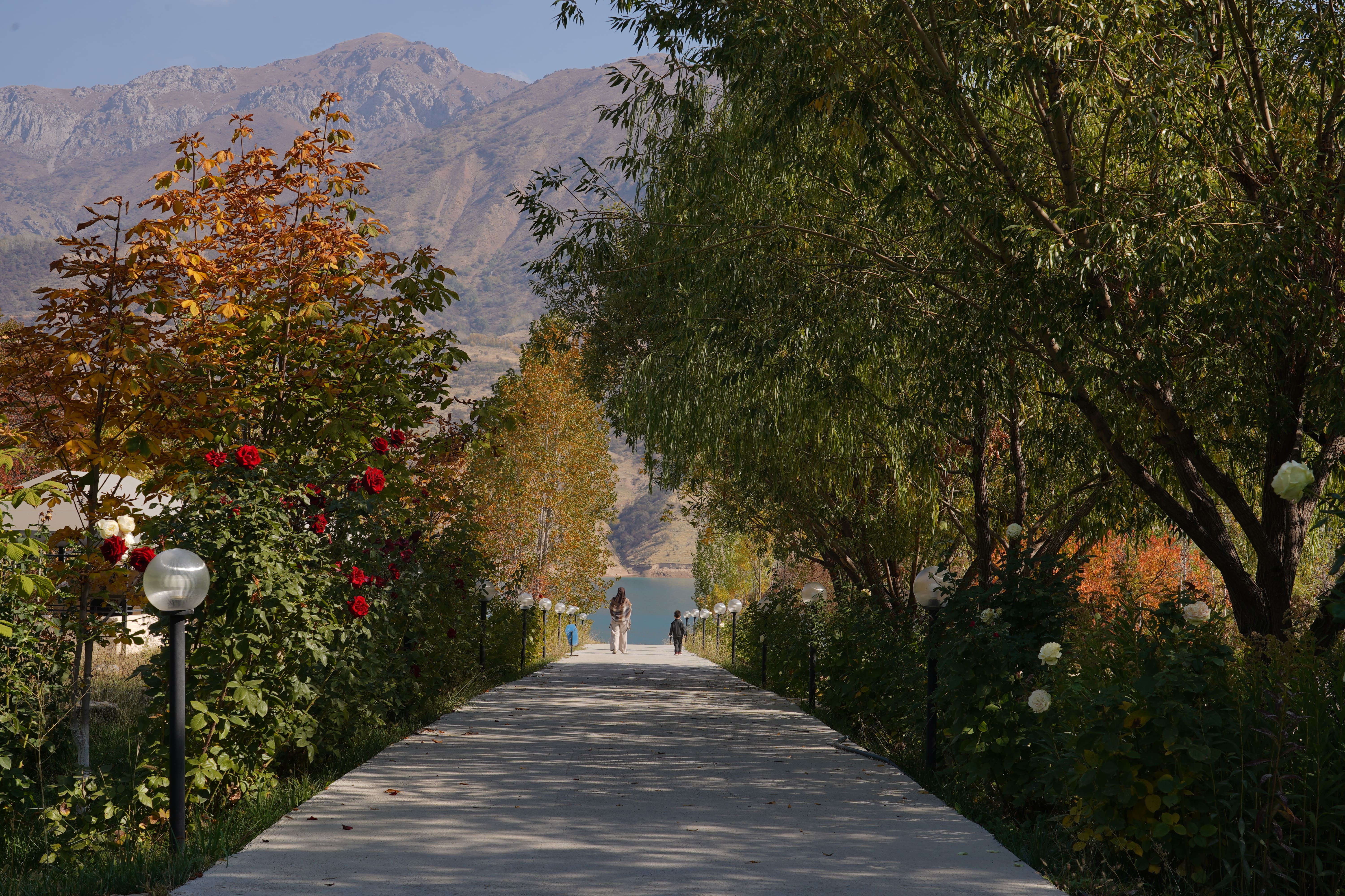 3 ночи по цене 2 в Charos Family Resort